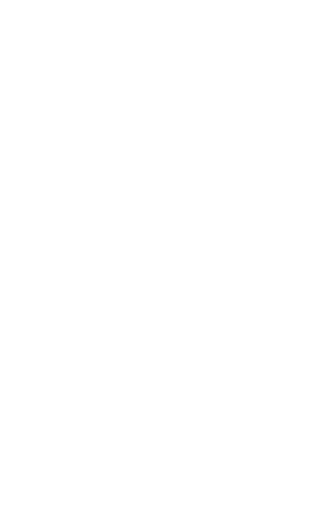 Icon whiskey glencairn